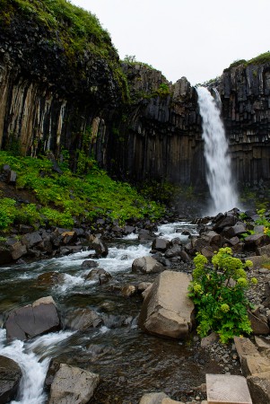 Waterval Svartifoss  in Skaftafell 